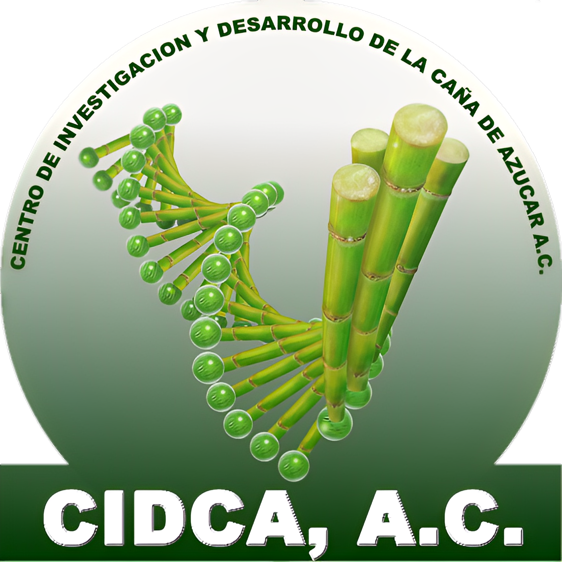 Logotipo de CIDCA A.C.